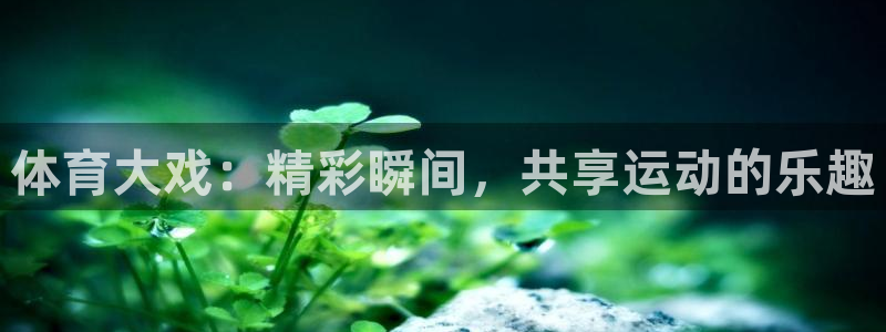 体育大戏：精彩瞬间，共享运动的乐趣