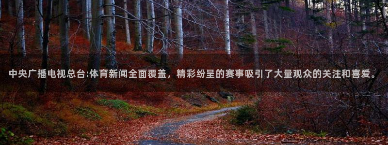 中央广播电视总台:体育新闻全面覆盖，精彩纷呈的赛事吸引了大量观众的关注和喜爱。