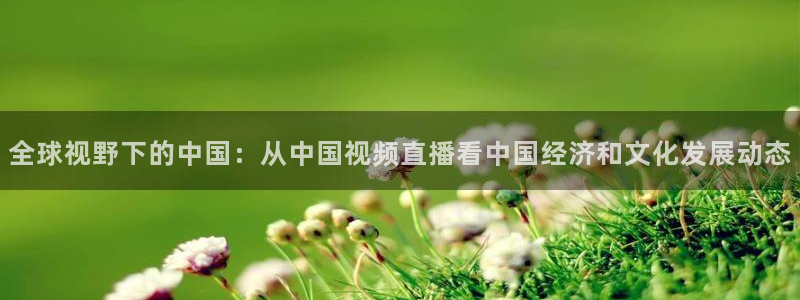 全球视野下的中国：从中国视频直播看中国经济和文化发展动态