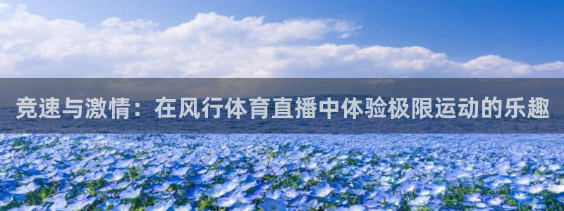 竞速与激情：在风行体育直播中体验极限运动的乐趣