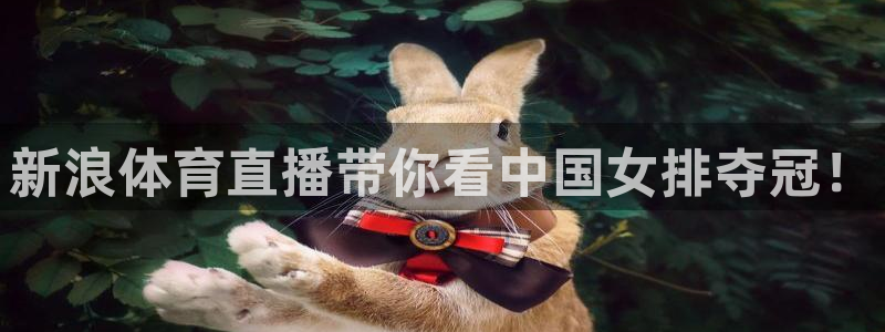新浪体育直播带你看中国女排夺冠！