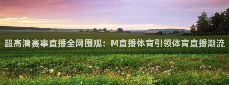超高清赛事直播全网围观：M直播体育引领体育直播潮流