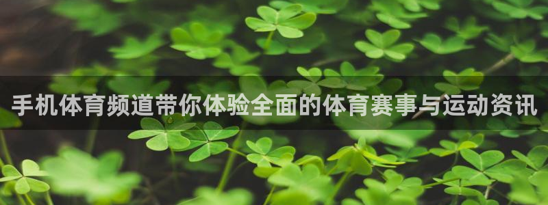 手机体育频道带你体验全面的体育赛事与运动资讯