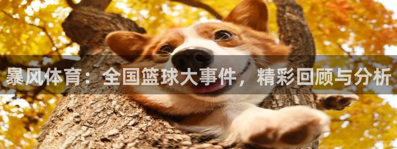 暴风体育：全国篮球大事件，精彩回顾与分析
