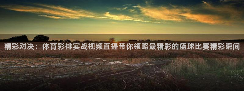 精彩对决：体育彩排实战视频直播带你领略最精彩的篮球比赛精彩瞬间