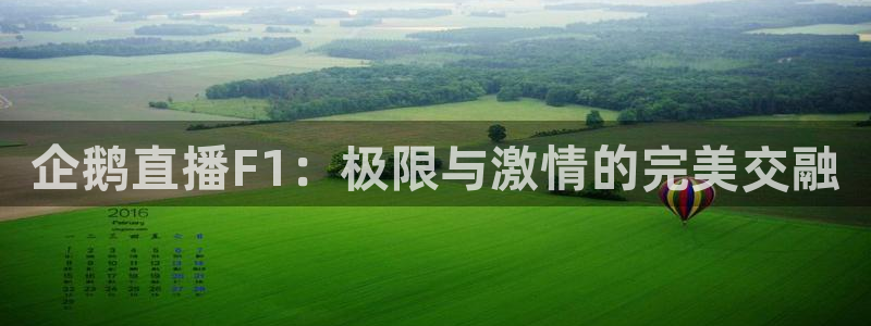 企鹅直播F1：极限与激情的完美交融