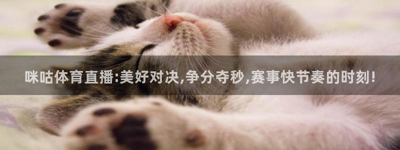 咪咕体育直播:美好对决,争分夺秒,赛事快节奏的时刻!