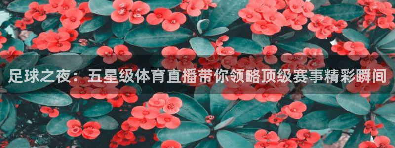 足球之夜：五星级体育直播带你领略顶级赛事精彩瞬间