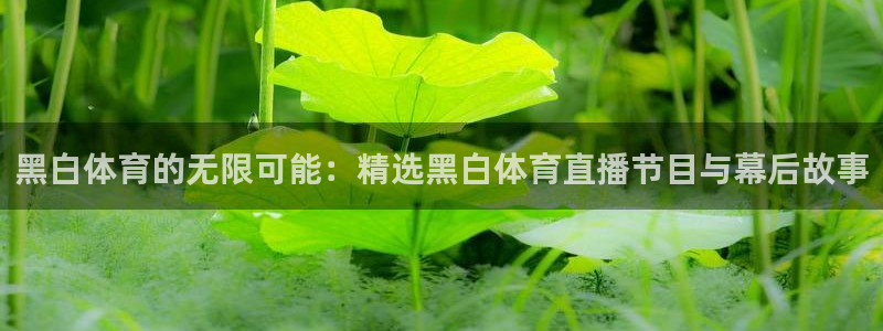黑白体育的无限可能：精选黑白体育直播节目与幕后故事