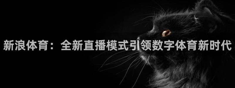 新浪体育：全新直播模式引领数字体育新时代
