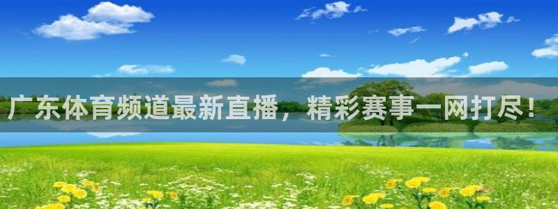广东体育频道最新直播，精彩赛事一网打尽！