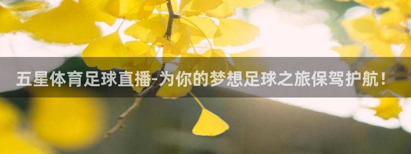 五星体育足球直播-为你的梦想足球之旅保驾护航！