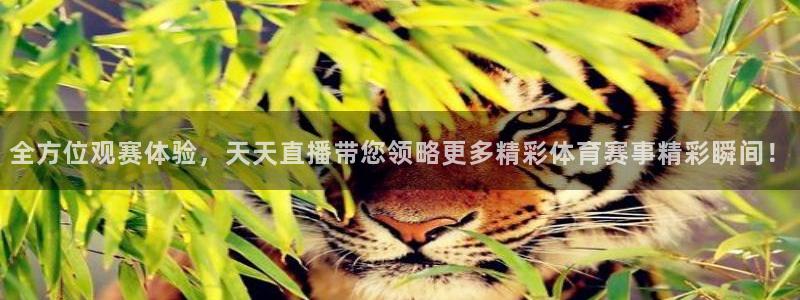 全方位观赛体验，天天直播带您领略更多精彩体育赛事精彩瞬间！