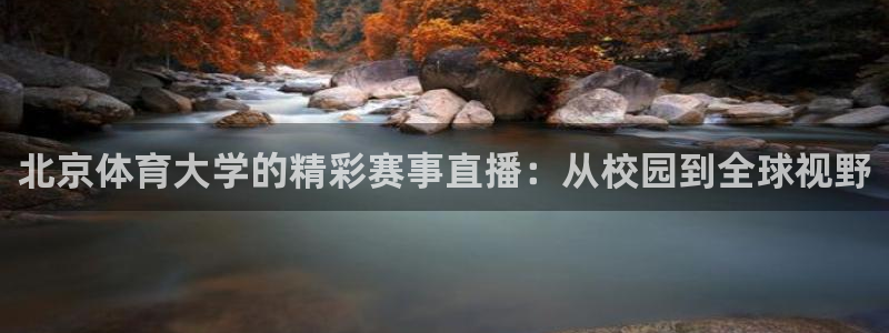北京体育大学的精彩赛事直播：从校园到全球视野