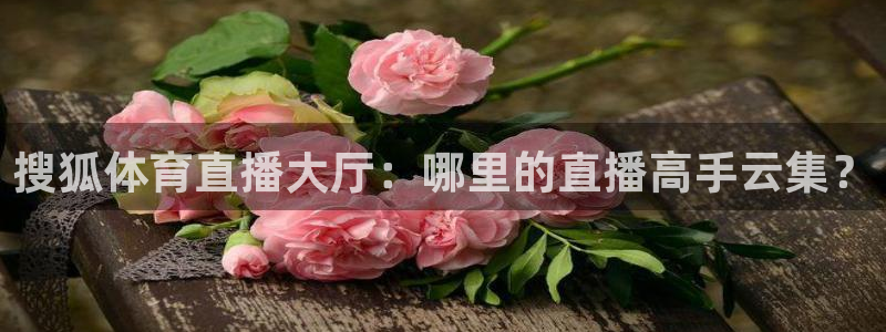 搜狐体育直播大厅：哪里的直播高手云集？