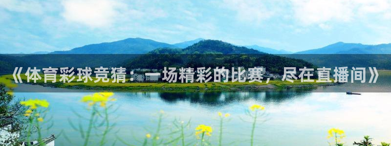 《体育彩球竞猜：一场精彩的比赛，尽在直播间》