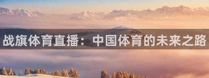 战旗体育直播：中国体育的未来之路