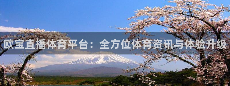 欧宝直播体育平台：全方位体育资讯与体验升级