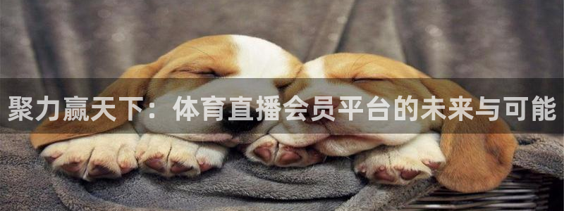 聚力赢天下：体育直播会员平台的未来与可能