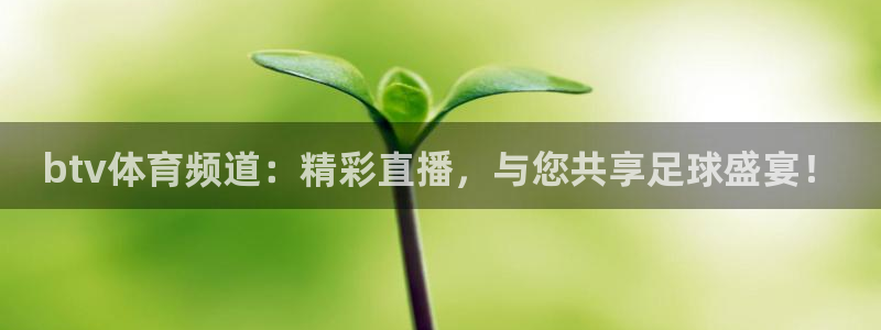 btv体育频道：精彩直播，与您共享足球盛宴！