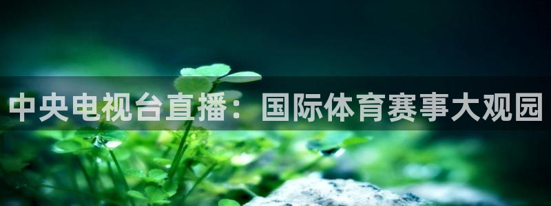 中央电视台直播：国际体育赛事大观园