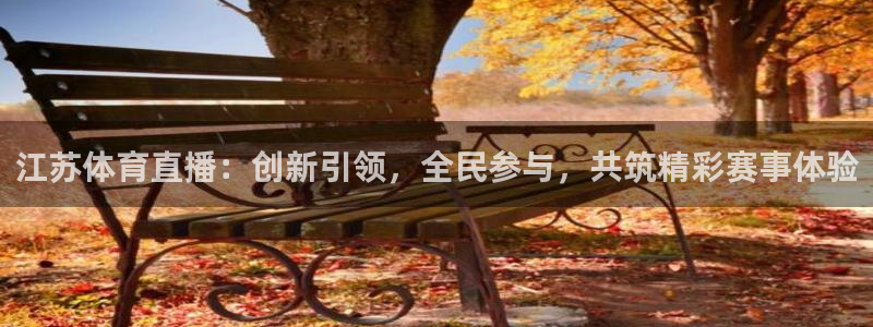 江苏体育直播：创新引领，全民参与，共筑精彩赛事体验