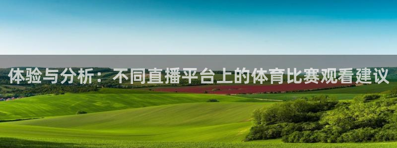 体验与分析：不同直播平台上的体育比赛观看建议