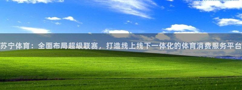 苏宁体育：全面布局超級联赛，打造线上线下一体化的体育消费服务平台