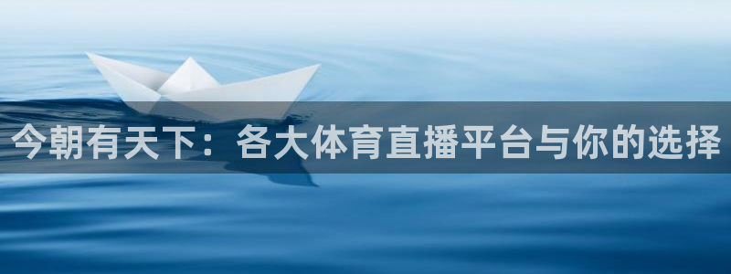 今朝有天下：各大体育直播平台与你的选择