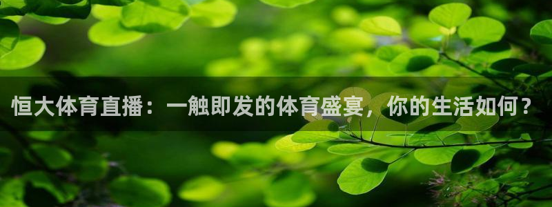 恒大体育直播：一触即发的体育盛宴，你的生活如何？