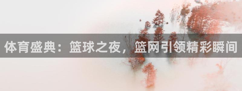 体育盛典：篮球之夜，篮网引领精彩瞬间