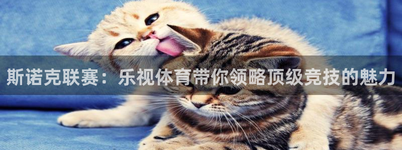 斯诺克联赛：乐视体育带你领略顶级竞技的魅力