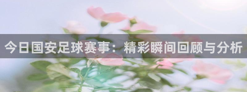 今日国安足球赛事：精彩瞬间回顾与分析