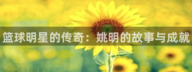 篮球明星的传奇：姚明的故事与成就