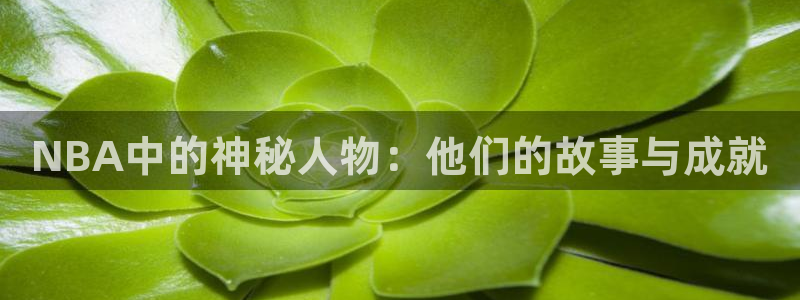 NBA中的神秘人物：他们的故事与成就
