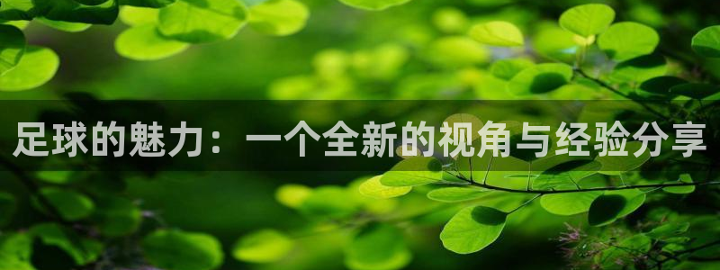 足球的魅力：一个全新的视角与经验分享