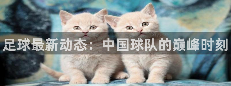 足球最新动态：中国球队的巅峰时刻