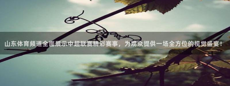 山东体育频道全面展示中超联赛精彩赛事，为观众提供一场全方位的视觉盛宴！