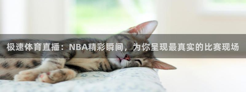 极速体育直播：NBA精彩瞬间，为你呈现最真实的比赛现场