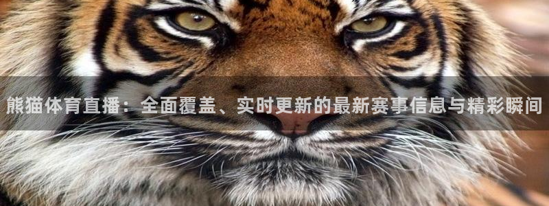 熊猫体育直播：全面覆盖、实时更新的最新赛事信息与精彩瞬间