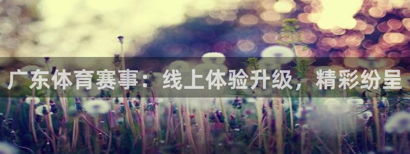 广东体育赛事：线上体验升级，精彩纷呈