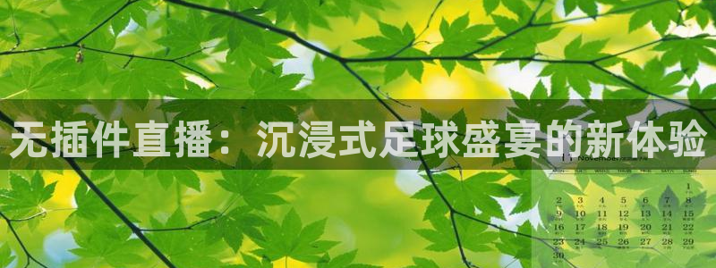 无插件直播：沉浸式足球盛宴的新体验