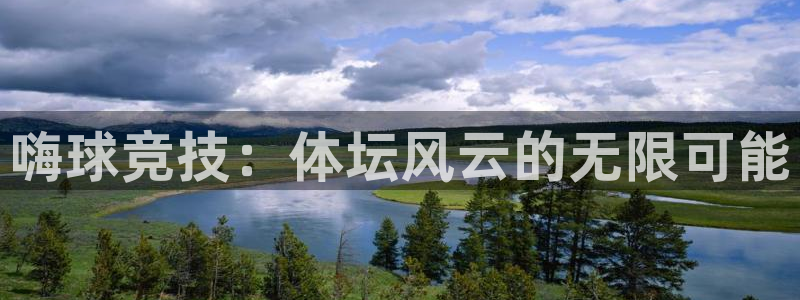 嗨球竞技：体坛风云的无限可能