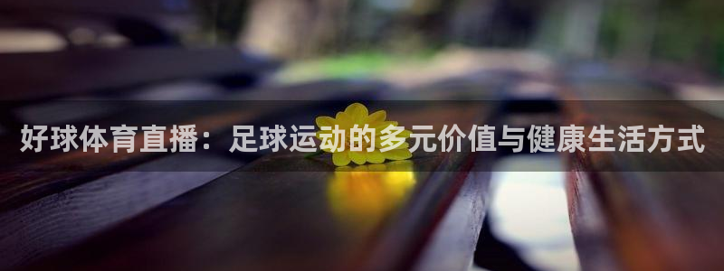 好球体育直播：足球运动的多元价值与健康生活方式