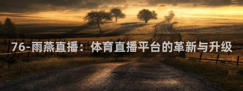 76-雨燕直播：体育直播平台的革新与升级