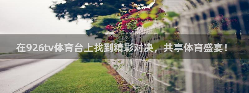 在926tv体育台上找到精彩对决，共享体育盛宴！