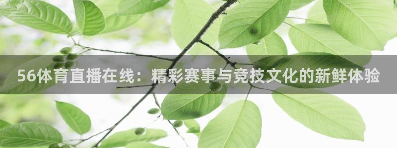 56体育直播在线：精彩赛事与竞技文化的新鲜体验