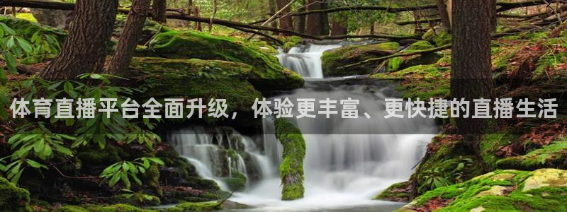 体育直播平台全面升级，体验更丰富、更快捷的直播生活