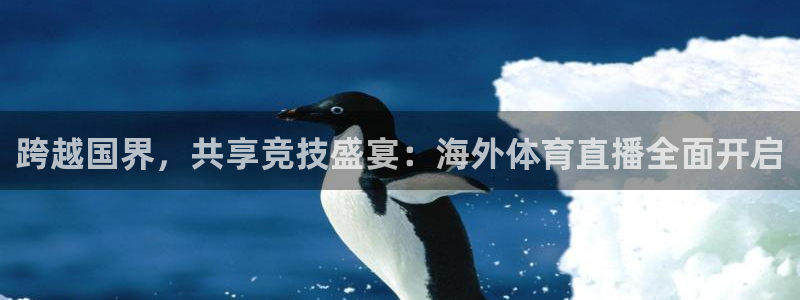跨越国界，共享竞技盛宴：海外体育直播全面开启