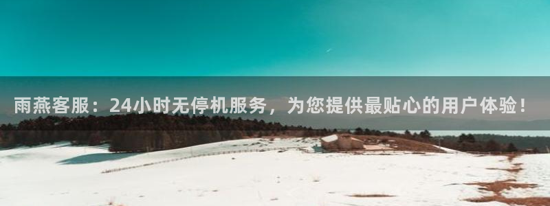 雨燕客服：24小时无停机服务，为您提供最贴心的用户体验！